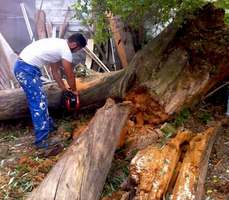 CEREBATE : ENTREPRISE DE RÉNOVATION en Île de France et dans le Var : Electricité, Plomberie, Menuiserie, Cloison Isolation, Revêtements : sols et murs intérieurs et extérieurs, Maçonnnerie . Entreprise sur ROSNY SOUS BOIS et LA CROIX VALMER.