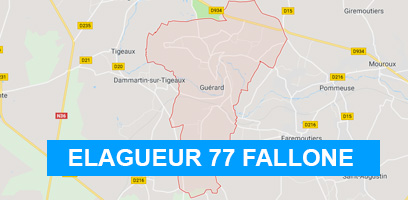 plan : ELAGUEUR 77 FALLONE : Elagage, abattage d'arbres, débroussaillement, entretien de vos espaces verts : pelouse, taille haies et création allée de jardin. 77