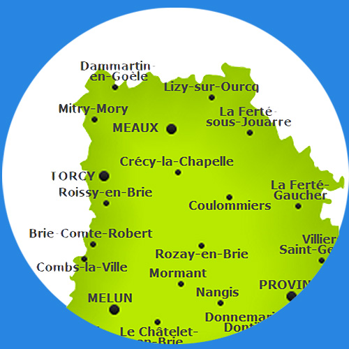 ÉLAGUEUR 77 FALLONE : Elagage, abattage d'arbres, débroussaillement, entretien de vos espaces verts : pelouse, taille haies et création allée de jardin. 77