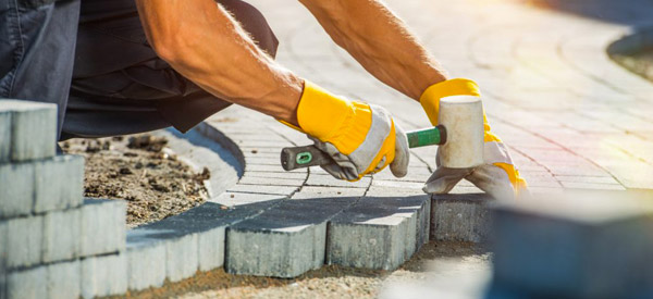 ÉLAGUEUR 77 FALLONE : Elagage, abattage d'arbres, débroussaillement, entretien de vos espaces verts : pelouse, taille haies et création allée de jardin. 77